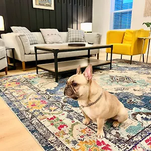 Holiday home Closetobroadwayairportoprymillsgameroom16, Nashville